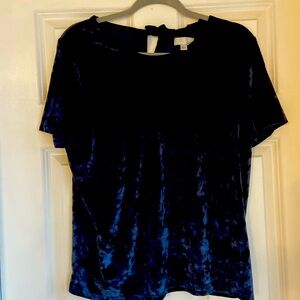 Short sleeve navy velvet shirt